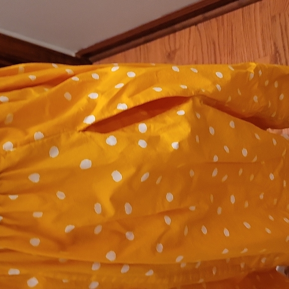Moulinette Soeurs Anthropologie Melora Yellow Polka Dot Dress in size 2 - Picture 5 of 16